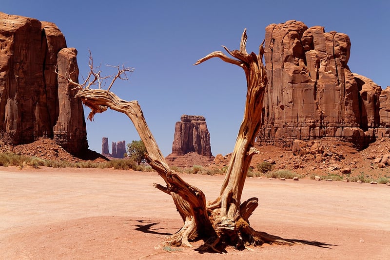 Wild West